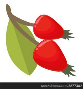 Berry rosehip icon cartoon vector. Forest food. Organic red. Berry rosehip icon cartoon vector. Forest food