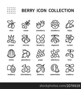 Berry simple set of vector linear icons. Symbol of healthy and natural food. Olive rowan strawberry cloudberry feijoa juniper and more. Isolated collection of berries icons on white background.. Berry simple set of vector linear icons. Isolated collection of berries icons on white background. Vector symbol set of natural food.