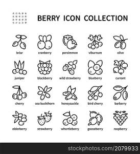 Berry simple set of vector linear icons. Symbol of healthy and natural food. Briar cranberry persimmon viburnum olive juniper and more. Isolated collection of berries icons on white background.. Berry simple set of vector linear icons. Isolated collection of berries icons on white background. Vector symbol set.