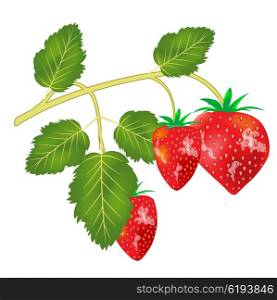 Berry strawberries on branch. Berry strawberries