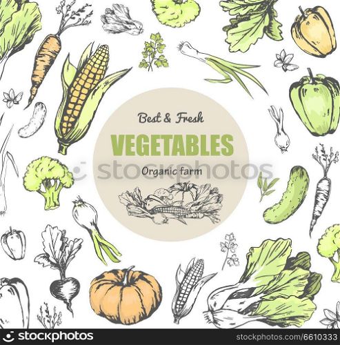 Best and fresh vegetables from organic farm poster. Ripe corn, green cucumber, crispy carrot, sweet beet, Chinese cabbage, Bulgarian pepper, pumpkin, fresh broccoli and onion vector illustrations.. Best and Fresh Vegetables from Organic Farm Poster