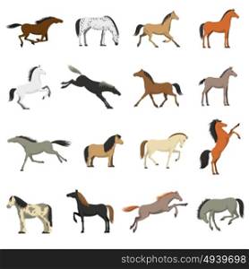 Best Horse Breeds Pictures Icons Set . Best horses breeds icons collection for work sport and entertainment with shetland pony abstract isolated vector illustration