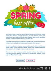 Best offer spring big sale advertisement daisy flowers vector on web page with push buttons read and buy now. Promo sticker with springtime blossoms. Best Offer Spring Sale Advertisement Daisy Flowers