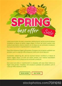 Best offer spring big sale advertisement daisy pink and yellow flowers vector illustration online web poster. Promo sticker with springtime blossoms. Best Offer Spring Sale Advertisement Daisy Flowers