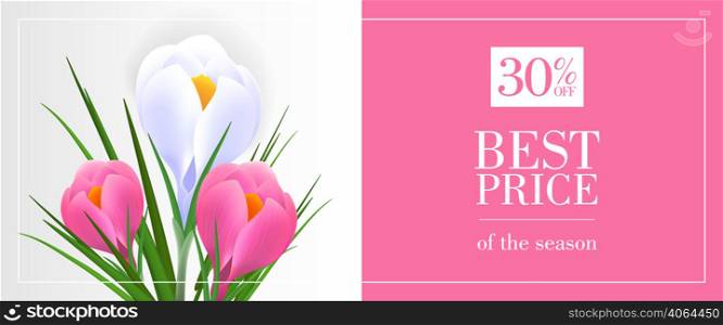 Best price of season, thirty percent off banner design with snowdrops on pink and blue background. Typed text in frame can be used for flyers, signs, posters.