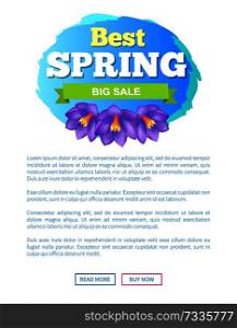 Best spring big sale advertisement label crocus purple flowers vector on webpage with push buttons read more and buy now. Emblem blossom of plants. Best Spring Big Sale Advertisement Label Crocus