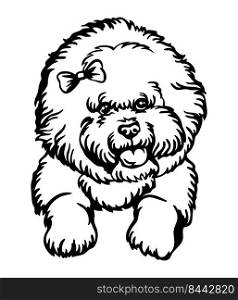 Bichon Frise dog black contour portrait. Dog head in front view vector illustration isolated on white. For decor, design, print, poster, postcard, sticker, t-shirt, cricut,tattoo and embroidery. Bichon Frise dog vector black contour portrait