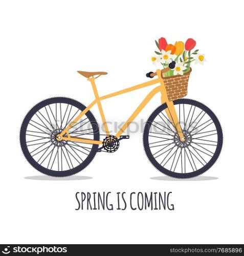 Bicycle with a bouquet of spring flowers. Vector Illustration. Bicycle with a bouquet of spring flowers. Vector Illustration. EPS10