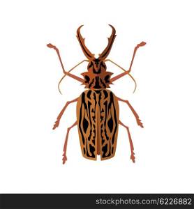 Big Beetle Deer with Horns. Icon of big beetle deer with horns. Stag beetle. Vector illustration