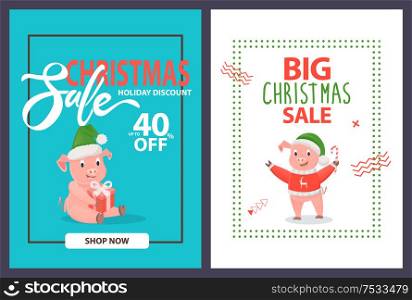 Big Christmas sale up to 40 percent off, holiday discounts posters, shop now. Pigs and piglets in warm winter hat with gift box and candy, in frames vector. Christmas Sale 40 Percent Holiday Discount, Pigs