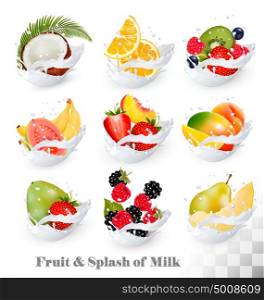Big collection icons of fruit in a milk splash. Guava, coconut, mango, peach, strawberry, cherry, blueberry, banana, melon, orange, raspberry. Vector Set