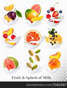 Big collection icons of fruit in a milk splash. Guava, plum, mango, blackcurrant, strawberry, cherry, blueberry, honey, melon, peach. Vector Set