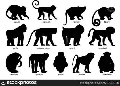 Big collection of black silhouettes of different Monkeys