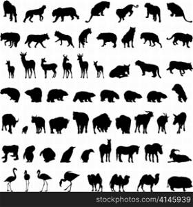 Big collection of different animal silhouettes