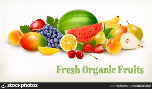 Big collection of different fresh fruit. Vector.