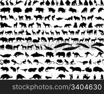 Big collection of different illustration vector animals