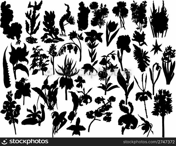 Big collection of different plants silhouette