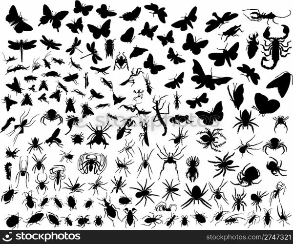 Big collection of different vector insects silhouettes