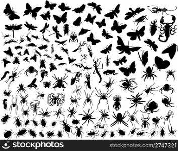 Big collection of different vector insects silhouettes