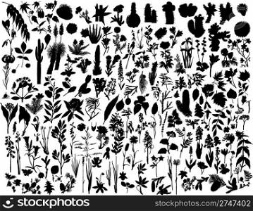 Big collection of different vector plants silhouettes