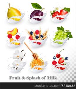 Big collection of fruit in a milk splash. Raspberry, strawberry, mango, vanilla, peach, apple, honey, orange, pear, grapes. Vector Set 4.