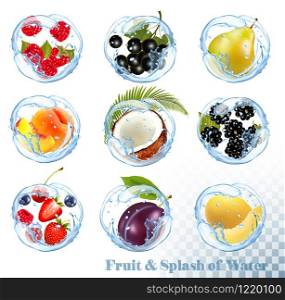 Big collection of fruit in a water splash. Raspberry, black currant, blackberry, blueberry, plum, pear, peach, strawberry, coconut, honeydew. Vector Set 25.