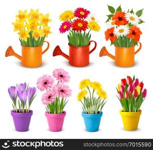 Big collection of spring and summer colorful flowers in pots. Vector
