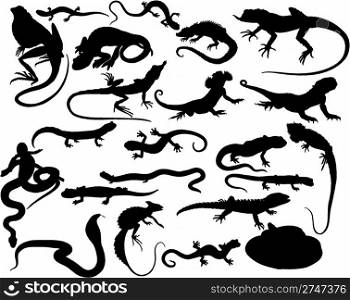 Big collection of vector reptiles isolated on white