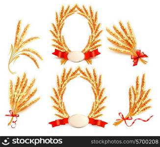 Big collection with Ears of wheat. Vector illustration.