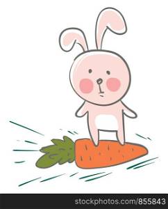 Big ear hare with carrot vector or color illustration