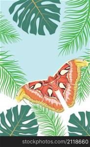 Big exotic brown butterfly, Attacus atlas moth illustration.