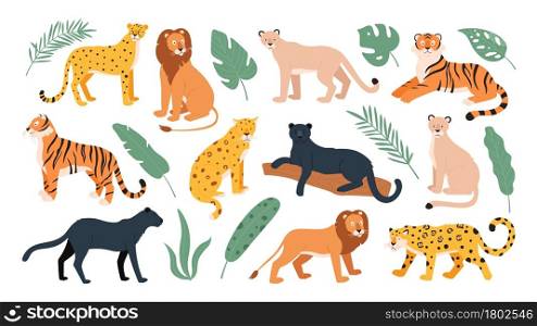 Big feline family animals, tiger, lion, cheetah and leopard. Wild cats savanna and tropical forest. Jaguar panther flat vector set. Cheetah and tiger, lion and leopard, feline predator illustration. Big feline family animals, tiger, lion, cheetah and leopard. Wild cats from savanna and tropical forest. Jaguar and panther flat vector set
