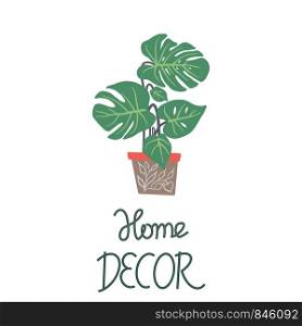 Big green leaves houseplant in a pot with note home decor on white background. Postcard, banner, app design. . Big green leaves houseplant in a pot with note home decor on white background.