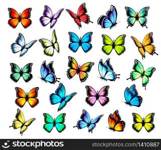 Big group of colorful butterflies, flying in different directions. Vector.