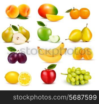 Big group of different fruit. Vector.