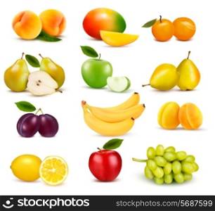 Big group of different fruit. Vector.