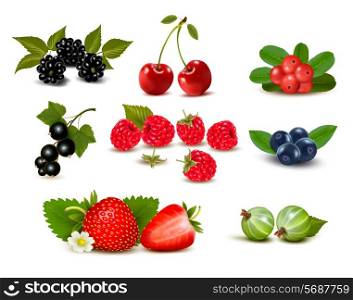 Big group of fresh berries and cherries. Vector illustration