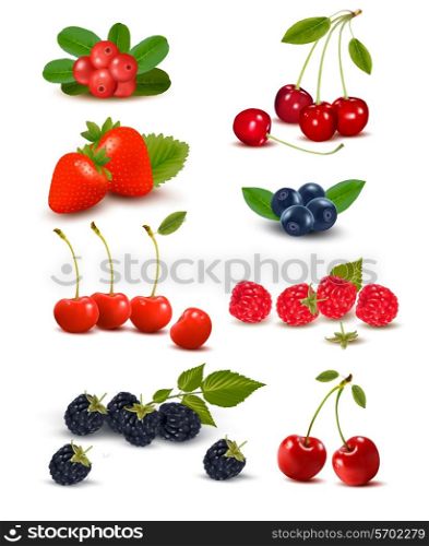 Big group of fresh berries and cherries. Vector illustration.
