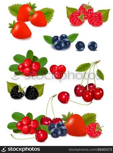 Big group of fresh berries. Photo-realistic vector illustration