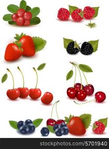 Big group of fresh berries Vector illustration