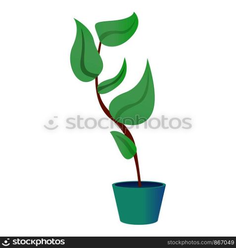 Big leaf houseplant icon. Cartoon of big leaf houseplant vector icon for web design isolated on white background. Big leaf houseplant icon, cartoon style
