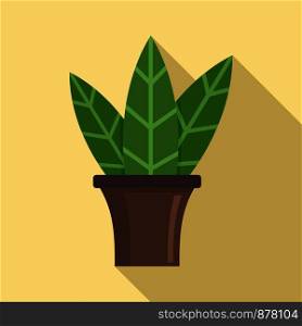 Big leaf houseplant icon. Flat illustration of big leaf houseplant vector icon for web design. Big leaf houseplant icon, flat style