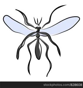 Big mosquito, illustration, vector on white background.