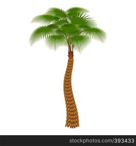 Big palm tree icon. Cartoon illustration of big palm tree vector icon for web. Big palm tree icon, cartoon style