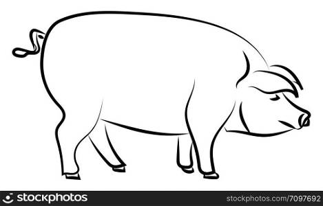 Big pig standing, illustration, vector on white background.