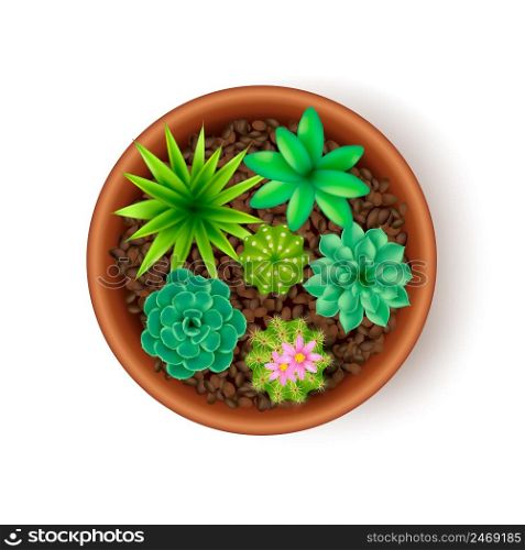 Big pot composition with several different flowers in the ground and in one pot vector illustration. Big Pot Composition