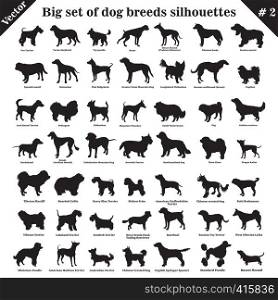 Big set of 49 different dogs, hounds, working, shepherd, terrier, companion, hunting. Vector set of different dogs standing in profile. Isolated dogs breed silhouettes set in black color on white background. Part 2
