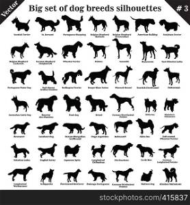 Big set of 49 different dogs, hounds, working, shepherd, terrier, companion, hunting. Vector set of different dogs standing in profile. Isolated dogs breed silhouettes set in black color on white background. Part 3