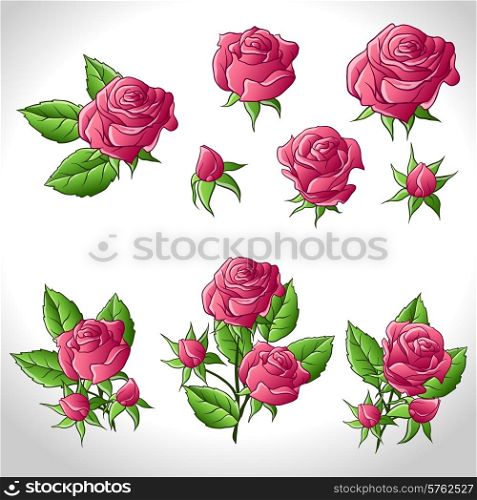 Big set of a beautiful colored roses. Vector illustration.. Big set of a beautiful colored roses. Vector illustration
