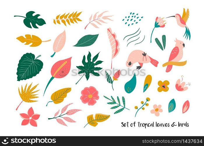 Big set of bright tropical leaves and birds. Vector illustration. Big set of bright tropical leaves and birds.